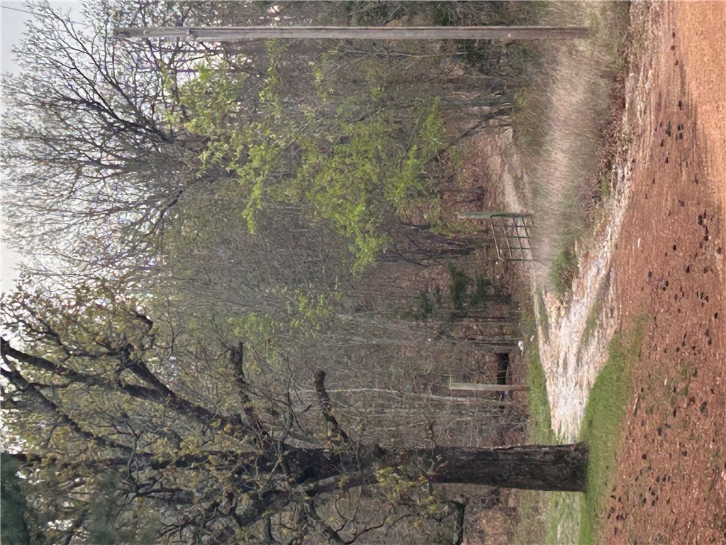 Big Sandy Informal Subdivision - Land