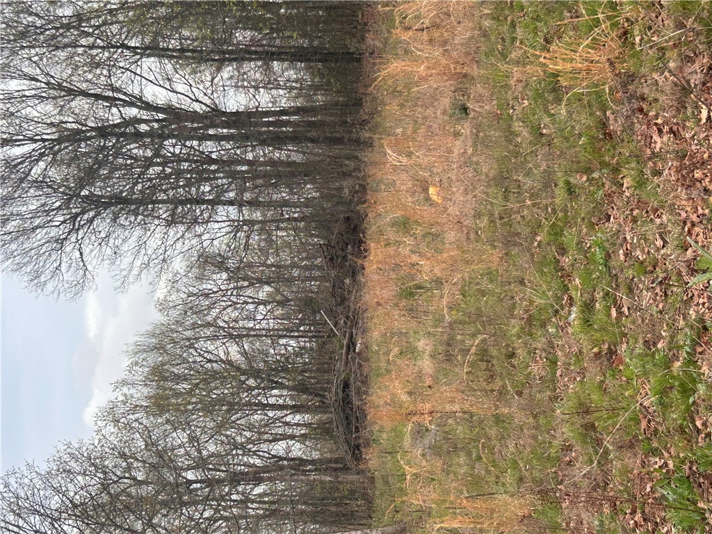 Big Sandy Informal Subdivision - Land