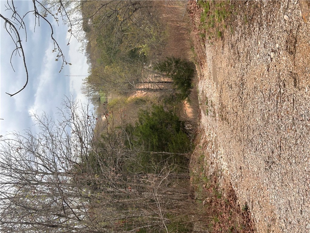 Big Sandy Informal Subdivision - Land