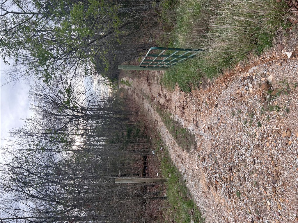 Big Sandy Informal Subdivision - Land