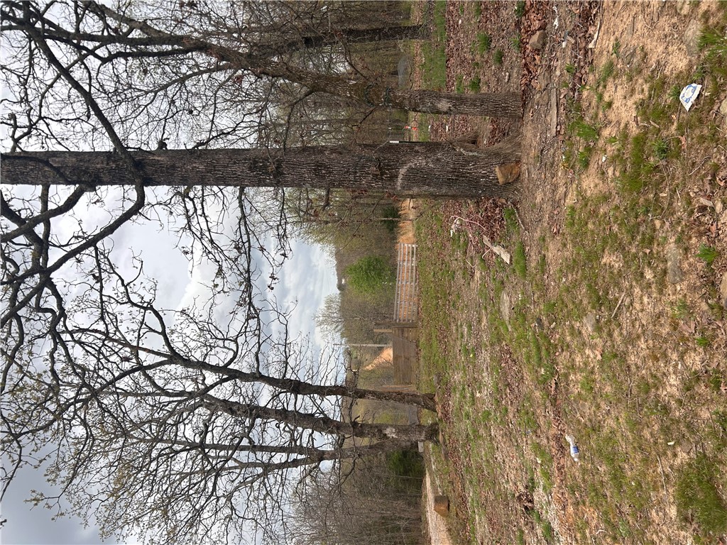 Big Sandy Informal Subdivision - Land