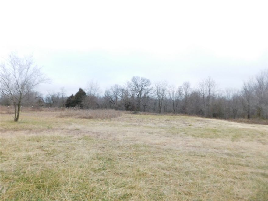 Located on one of the busiest roads in Pea Ridge.  Development/commercial potential.  Almost 1000 feet of frontage on It'll Do which connects both major highways in Pea Ridge.  Walmart Supercenter is being built right down the street.  Houses on property are not habitable and have no value.  Buyer to do their own due diligence regarding available utilities.