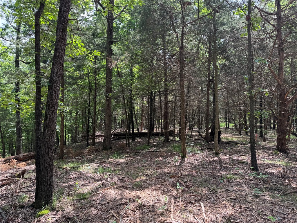 Escape to the peace and quiet of nature with this beautiful wooded propertyāperfect for your dream
home or a private hunting cabin. Nestled in a serene setting surrounded by mature trees and wildlife, this land offers the ideal backdrop for a weekend getaway, hunting retreat, or full-time country living. With plenty of space to roam, youāll enjoy privacy, natural beauty, and endless possibilities to create your own retreat in the woods. Whether youāre looking to build a custom home, set up a hunting lodge, or simply enjoy the great outdoors, this property provides the perfect canvas