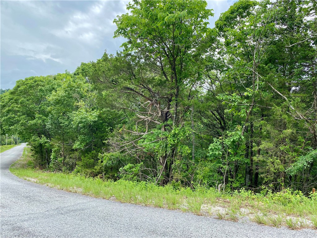 Discover the perfect opportunity to build your dream home or investment property on this beautiful buildable .46 acre lot in Holiday Island, Arkansasāa charming golf and lake community nestled in the Ozark Mountains. Just minutes from Beaver Lake, Table Rock Lake and the Holiday Island golf course, this lot offers a peaceful, scenic setting with all the amenities of resort-style living. Whether you're planning your forever home, a retirement retreat, or a short-term rental to generate passive income, Holiday Island welcomes it all. With low property taxes, paved roads, public water and sewer access, and a supportive building environment, this lot is ready for your vision. Embrace the lifestyle, investment potential, and natural beauty that make Holiday Island a hidden gem in Northwest Arkansas.
