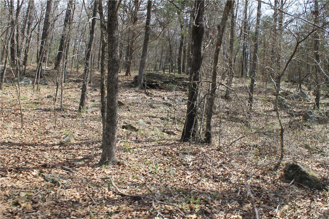 Prairie Grove Outlying acreage - Land