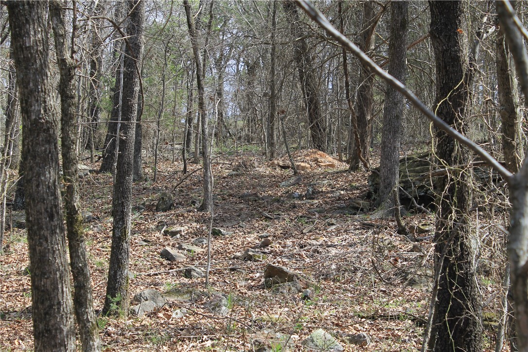 Prairie Grove Outlying acreage - Land
