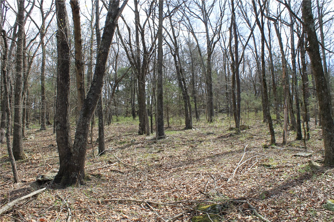 Prairie Grove Outlying acreage - Land