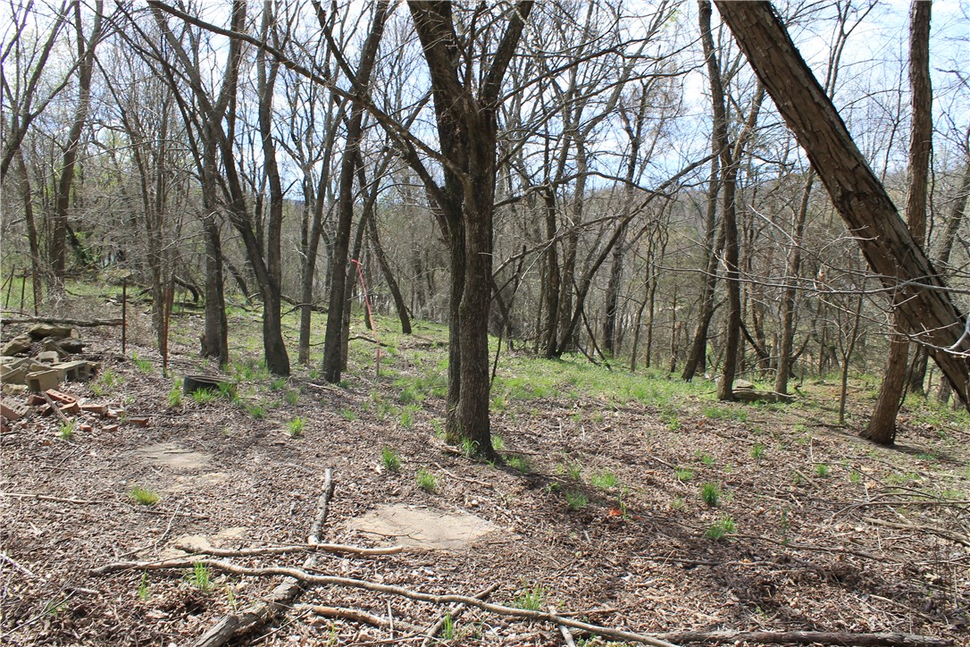Prairie Grove Outlying acreage - Land