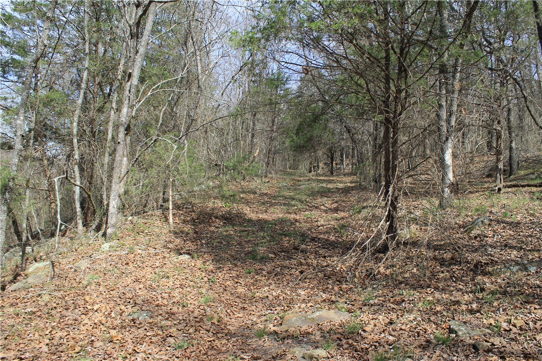 Prairie Grove Outlying acreage - Land