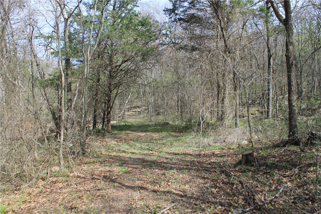 Prairie Grove Outlying acreage - Land