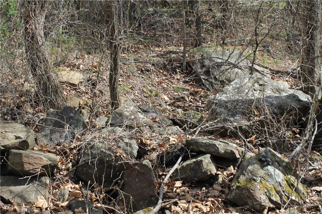 Prairie Grove Outlying acreage - Land