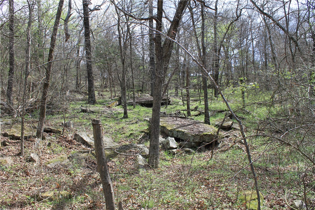 Prairie Grove Outlying acreage - Land