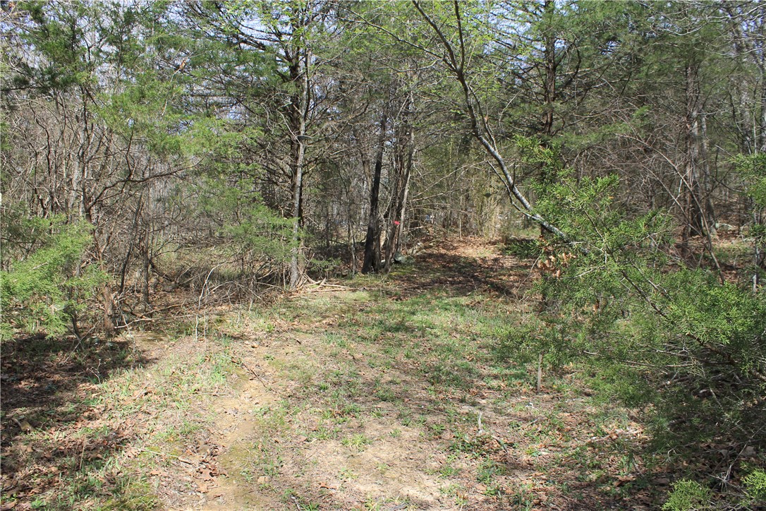 Prairie Grove Outlying acreage - Land