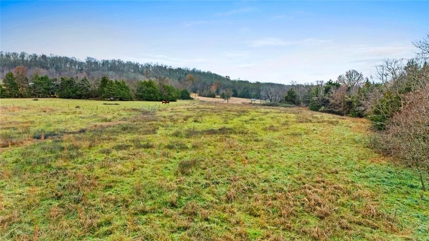 Claim your place at the top of the mountain when you buy this beautiful (+/-) 25 acre property on Mount T Bo in Northwest Arkansas. A few people have already built so water & electricity are at the road, all you have to do is get hooked in and build your dream home! Elkins is an up and coming community only 20 minutes outside of Fayetteville. With the stars above and the famous White River below, you will be peacefully secluded in the trees but still have all the things Northwest Arkansas has to offer just a short drive away.  

Don't miss your chance to have it all in Northwest Arkansas, set up a private showing today!