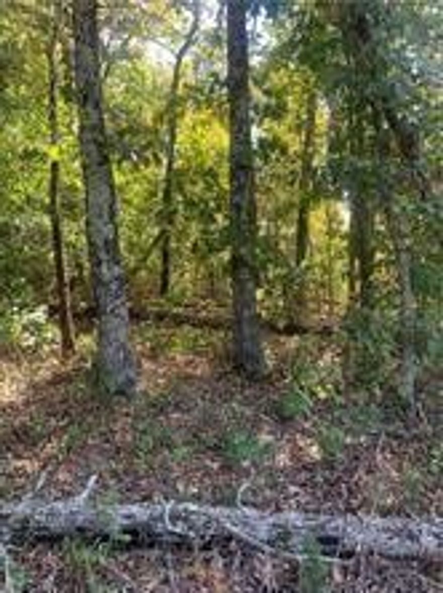 Don't miss out on this great opportunity to build your dream home in Bella Vista, taking advantage of all
that Bella Vista has to offer and yet just minutes away from Bentonville. The Best of both worlds, live in a
quiet area, with a mountain resort feel, but only minutes from shopping, art museums, and the bustle of
town. Enjoy the Bella Vista amenities that come with being a land owner - public parks, golf courses,
swimming pools, trails and lakes. Make this property yours today!!!