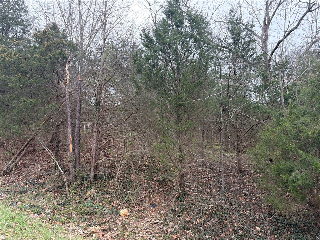 Hexham Sub Bvv - Land