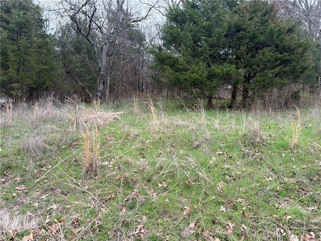 Hexham Sub Bvv - Land