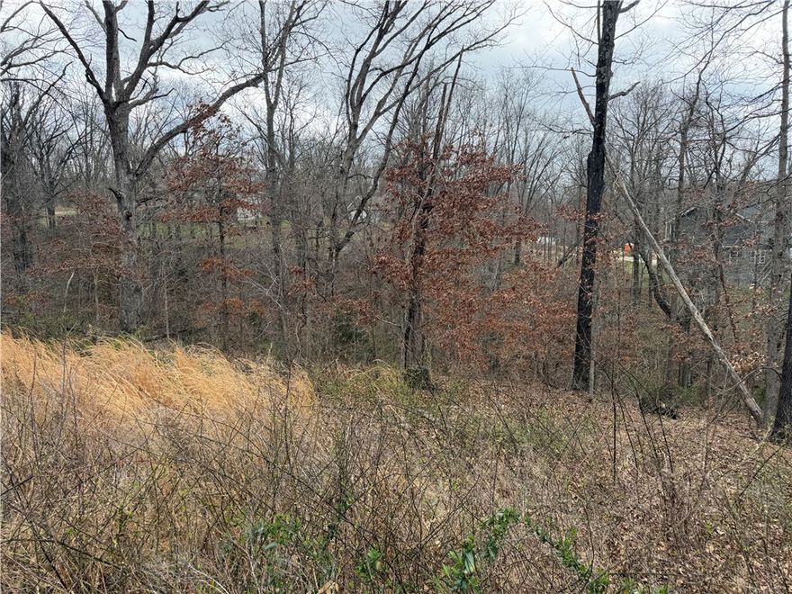 Golf in the morning, Lake in the afternoon, Trails by night." Why choose one hobby when you can have them all? This lot can be the ultimate "choose your own adventure" site. You’re perfectly located in Bella Vista’s to hit the greens at Kingswood or The Highlands, launch the boat at Loch Lomond, or many other lakes or explore the Back 40, the new bike lift or several other bike trails in Bella Vista. Whether you're building a high-demand Airbnb or a personal getaway, this location captures everything that makes Bella Vista a destination.