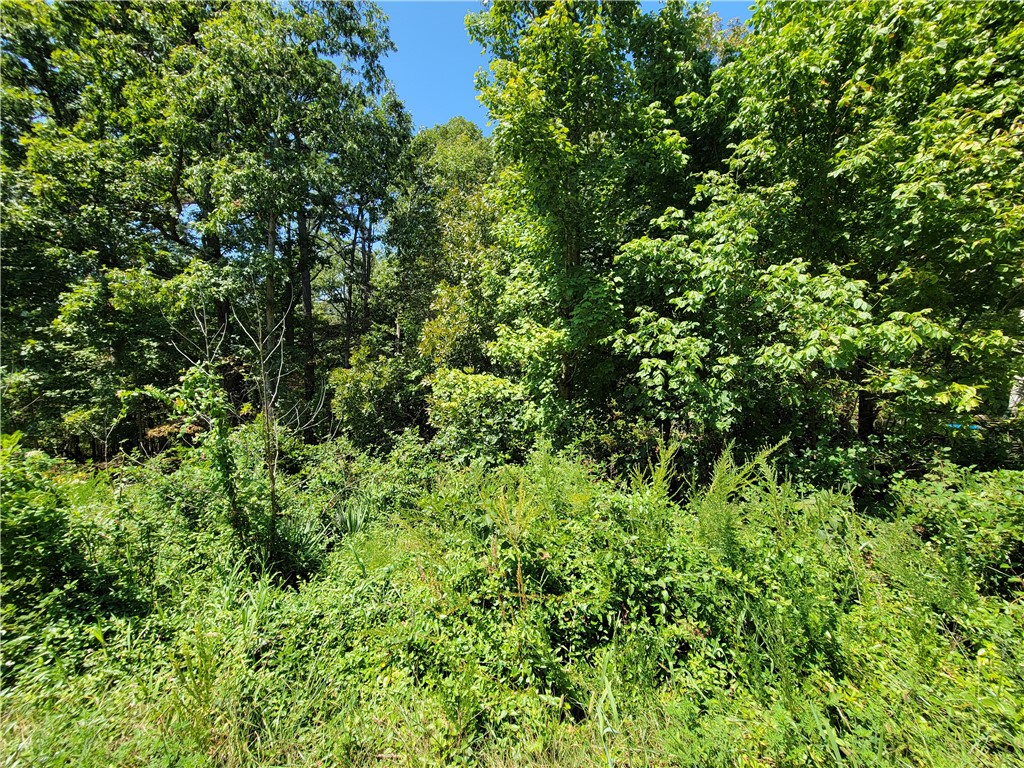 Large lot near a cul-de-sac with SEWER access! Adjoining lot is also listed for sale under ML# 1284838.