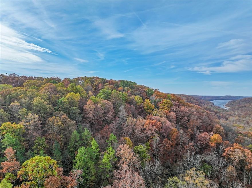 110 acres plus of end to the road privacy.  This property is minutes from new opera house, Eureka Springs and the White River. Own your own private retreat or ideal for an investor looking to set up multiple properties with building sites on ridges in addition to beautiful Beaver Lake Views.  This property offers lake views, mountain views and endless privacy.  Park like drive up to current doublewide, great place to live until your dream home is built.  Create your own play areas or exploring trails. This property has endless possibilities.