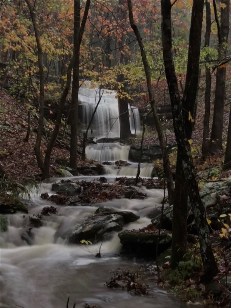 Cedar Trace - Residential