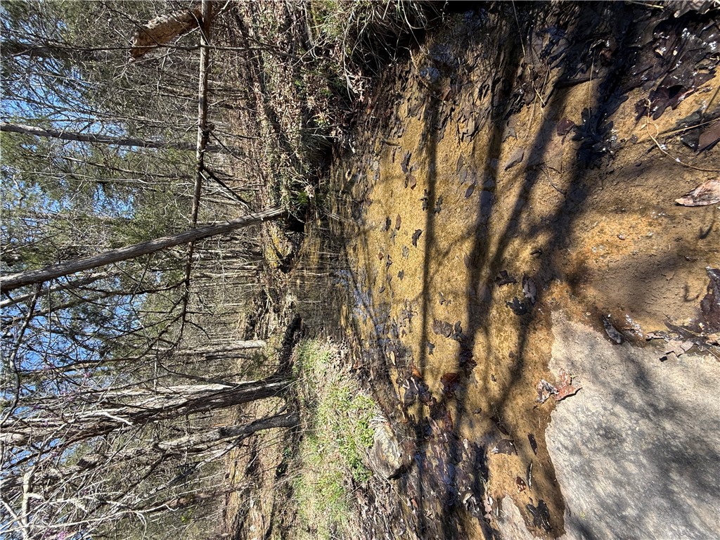 Cedar Trace - Residential