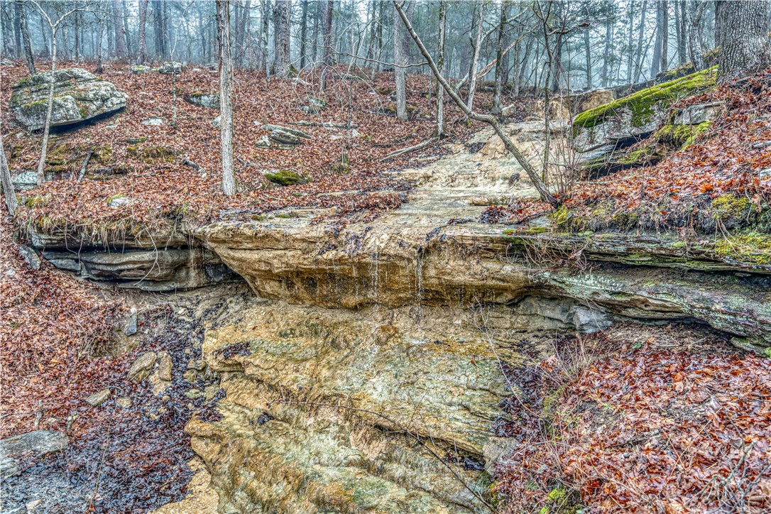 Cedar Trace - Residential