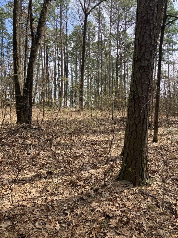 Jenkins Lakefront Pines - Land
