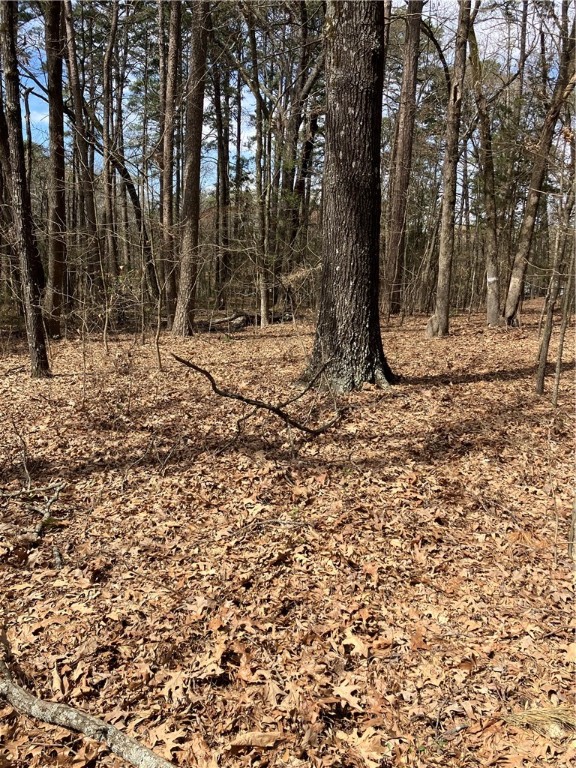 Jenkins Lakefront Pines - Land