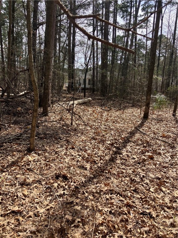 Jenkins Lakefront Pines - Land