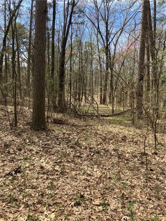 Jenkins Lakefront Pines - Land
