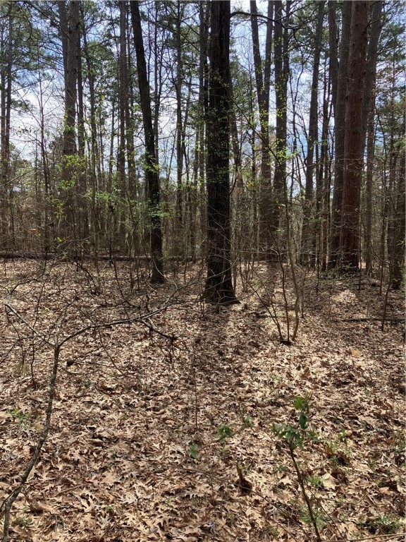 Jenkins Lakefront Pines - Land