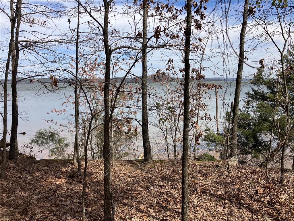 Jenkins Lakefront Pines - Land