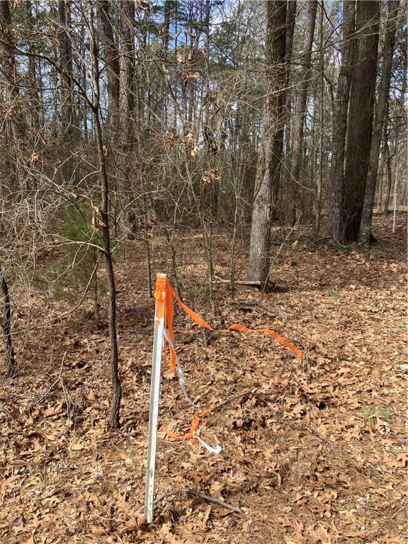 Jenkins Lakefront Pines - Land