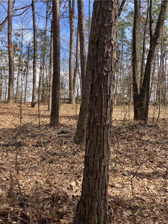 Jenkins Lakefront Pines - Land