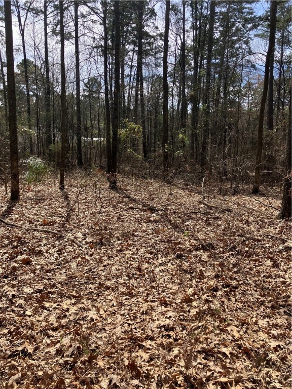 Jenkins Lakefront Pines - Land