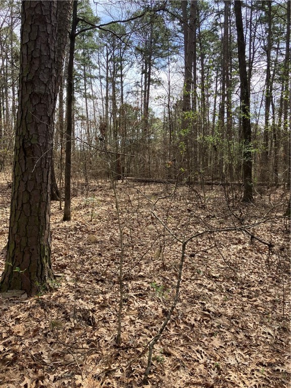 Jenkins Lakefront Pines - Land