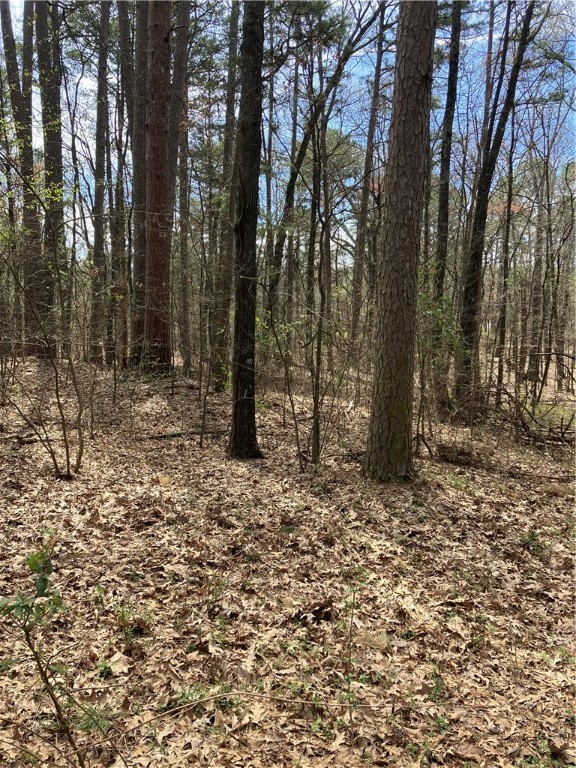 Jenkins Lakefront Pines - Land