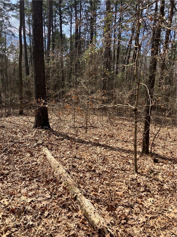 Jenkins Lakefront Pines - Land
