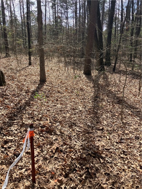Jenkins Lakefront Pines - Land