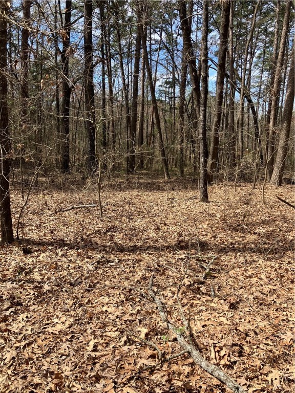 Jenkins Lakefront Pines - Land