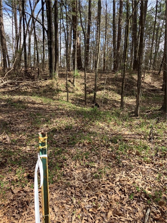 Jenkins Lakefront Pines - Land