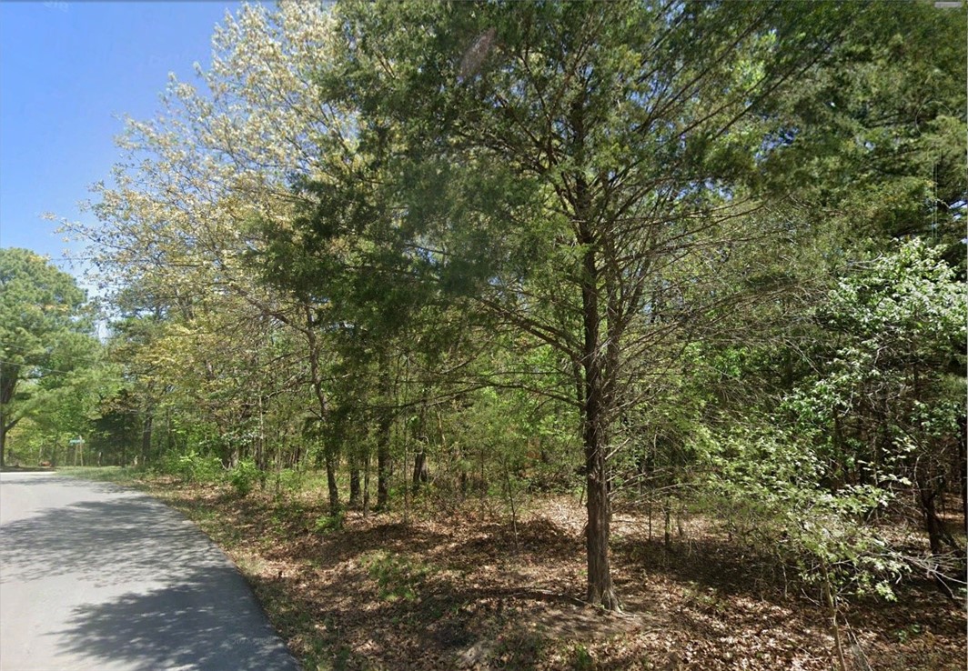 FLAT CORNER LOT in Bella Vista ready for your build! Located off Stoneykirk Dr and close to Branchwood Recreation Complex, Highlands Club House & Golf Course, and Loch Lomond, this property features a fantastic scenic setting with great convenience. Quick access to the new Bypass for quick travel to all NWA. Utilities located at street. Enjoy amazing amenities in Bella Vista Community including incredible mountain biking trail systems, private lakes, parks, hiking, restaurants, gyms, pools and so much more! Donāt miss out on your opportunity to secure this rare find!