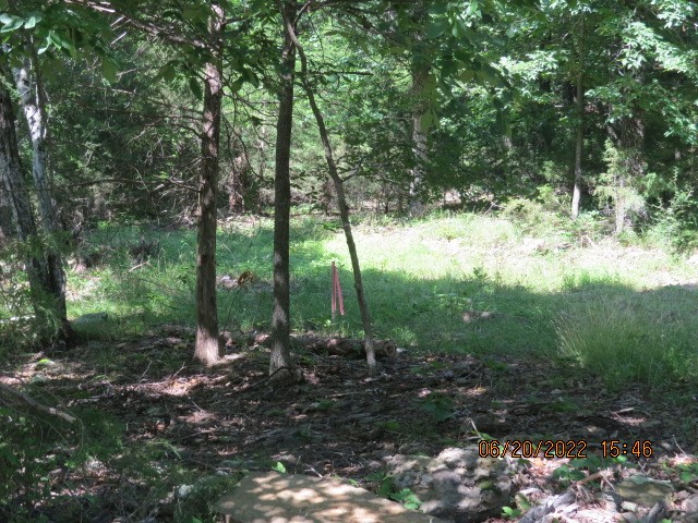 Mark Brewer I - Land