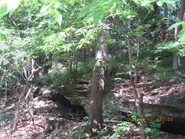 Mark Brewer I - Land