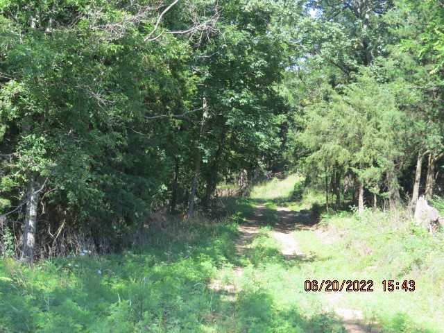 Mark Brewer I - Land