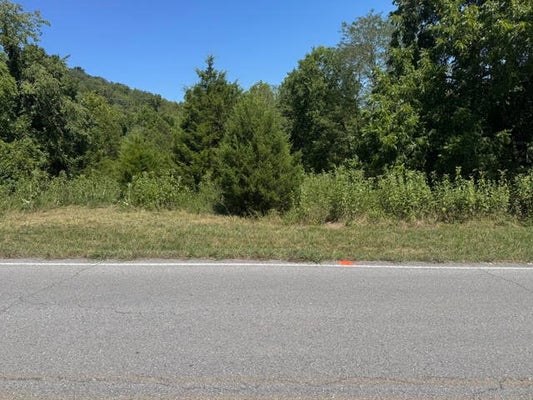 125 STATELINE DR, HOLIDAY ISLAND, AR 72631 - Image 4fbb96ea8a55d5ca4a5e9f5f01103455/2740712743