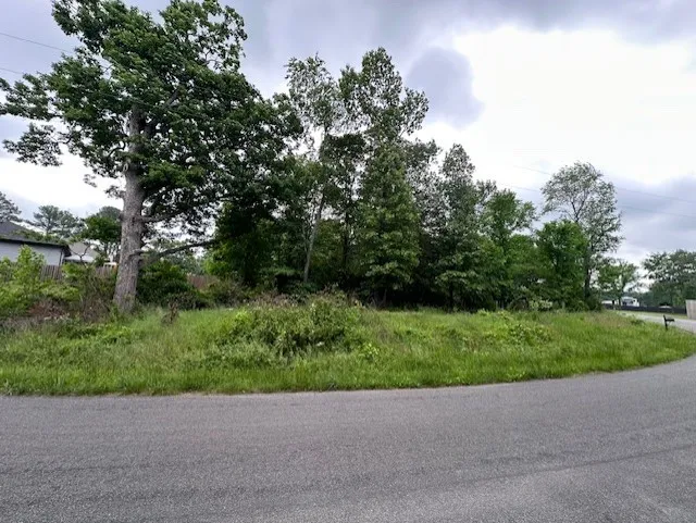 Bella Vista, Arkansas 72715, United States, ,Land,Pending,144994