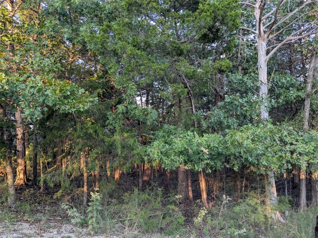Unit 5 Holiday Island - Land