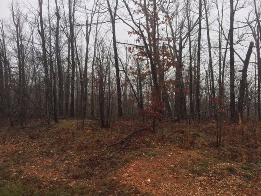 Great level building lot, nearly 1/3 acre.  Corner lot, good area, close to Pea Ridge.